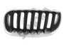 BMW 51133414903 Radiator Grille